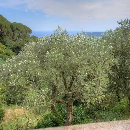 Alassio-villa-sea-view Apartment *